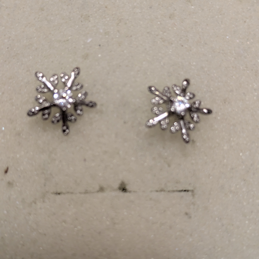 Earings Dazzling Silver Starburst Earrings